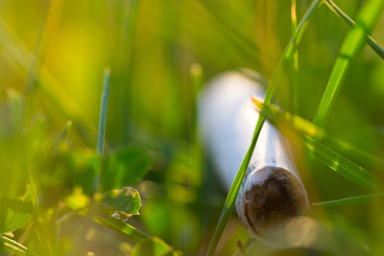 A grass fire caused by a discarded cigarette.