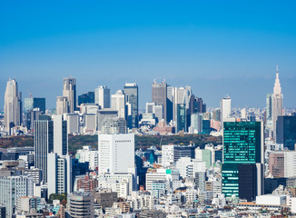Fototapeta premium 東京 新宿副都心