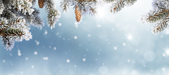 Merry Christmas and happy new year greeting card. Winter landscape with snow .