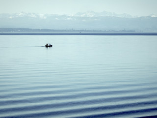 Obraz premium Zwei Männer rudern über den Bodensee