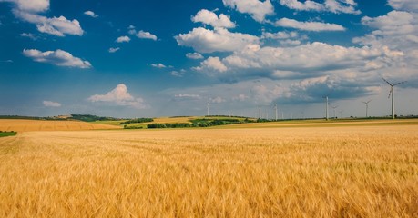 Scenic Countryside Landscape