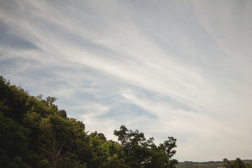 cloud sky with tree on mountain.