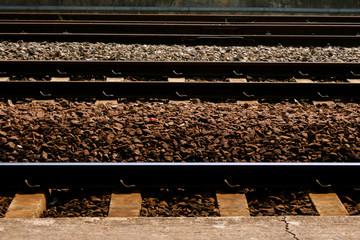 Following the Memories