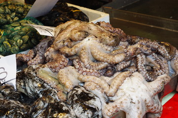 Octopus at the fish market in Venice