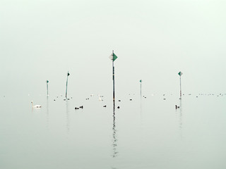 Seezeichen bei Nebel am Bodensee