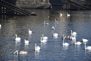 Prague, République Tchèque