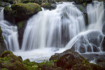 Fototapeta premium Wasserfall bei Triberg im Schwazwald