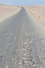 Paracas reserve, Peru.