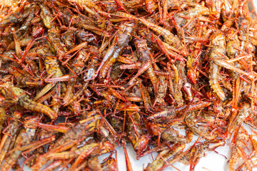 Fried insects - Grasshopper insect crispy, Thai food at the street food market. Available on the market