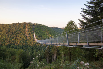 Fototapeta na wymiar The longest rope bridge Geierlay in Germany reveals a unique view of the surrounding mountains.Photo taken July 2018