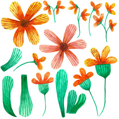 set of orange and pink flowers with leaves painted with watercolor