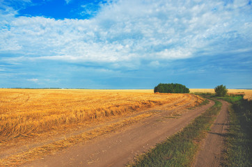 Sunny summer landscape with ground country road and empty rural field after harvesting. 
