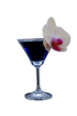 Martini cocktail and water splash isolated background