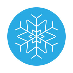 Snowflake icon. Cold symbol. Vector.