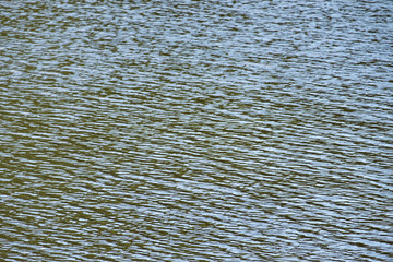 The water is patterned because the wind blows through.