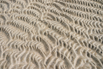 Natural textured background of wave patterns left at low tide in silky sand in a full frame abstract close up