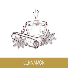 Cinnamon sticks, cup of tea, star anise. Sketch. Monophonic.