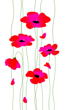 Flowers red poppies on stalks. Vector. Womens beautiful fashionable illustration for postcard, congratulations on the holiday. Pattern for fabric and wall wallpaper. Spring picture for March 8 and St.