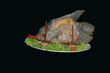 POISSON ELEPHANT (VIETNAM)