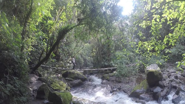 Kolumbien Cocora Valley Wachspalmen Nationalpark mit Nebelwald und Dschungel gefilmt mit Protune f&uuml;r gute Farbkorrigierung nachtr&auml;glich geeignet