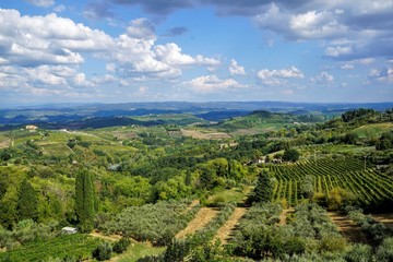Fototapeta na wymiar Panoramic view of the Region Tuscany, Italy.
