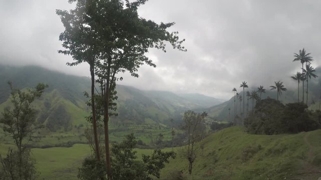 Kolumbien Cocora Valley Wachspalmen Nationalpark mit Nebelwald und Dschungel gefilmt mit Protune f&uuml;r gute Farbkorrigierung nachtr&auml;glich geeignet