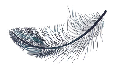 Feather, fluff, fuzz is a black, realistic 3d. Gothic.