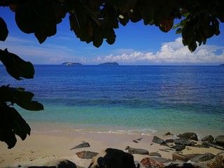 Beach View Under A Tree