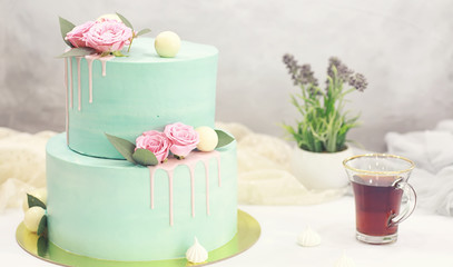 Obraz na płótnie Canvas Confectionery flavored cakes for a holiday