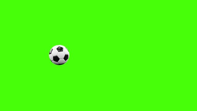 Soccer Ball Animation Rolling Front of Camera