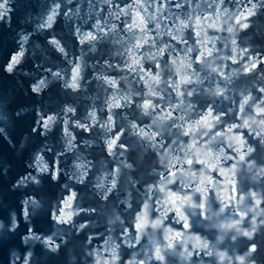Macro view of snowflakes, snow crystals. Abstract winter background, square