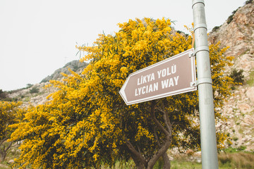 Lycian way