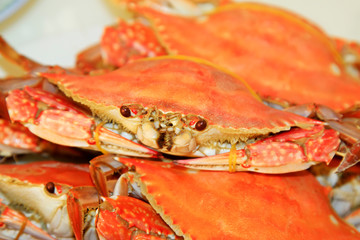 cooked crab