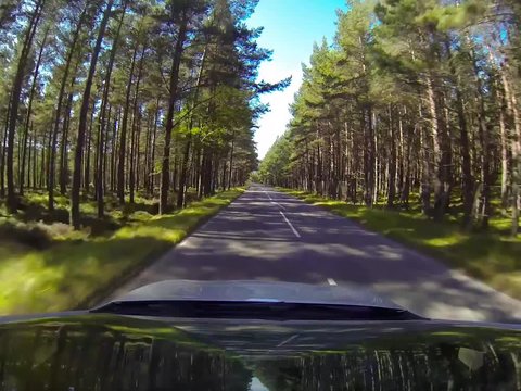 Fahrt auf der A93, Schottland / Cairngorms, Nadelwald, Licht und Schatten