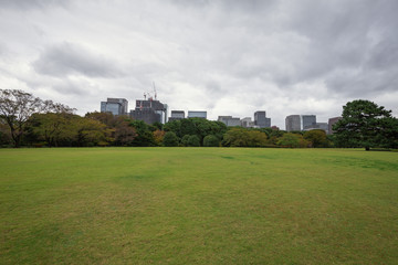 Fototapeta na wymiar park in the tokyo japan
