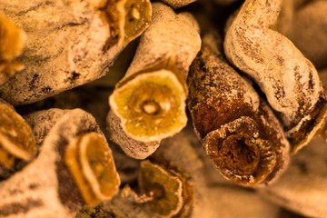 Dried fruit, very healthy, sweet and tasty persimmon. Dried and dusted with icing sugar.