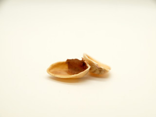 Pistachios fruit and shell on qhite background