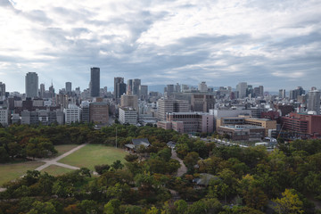 Fototapeta premium cityscape of the osaka japan