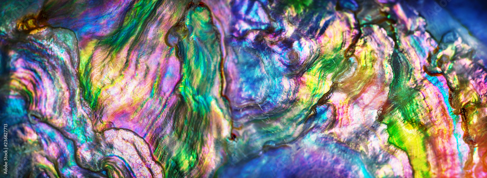 Wall mural high magnification macro of nature texture pearl shell. rainbow colors abstract background close-up.