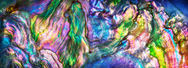 High magnification macro of nature texture pearl shell. Rainbow colors abstract background close-up.