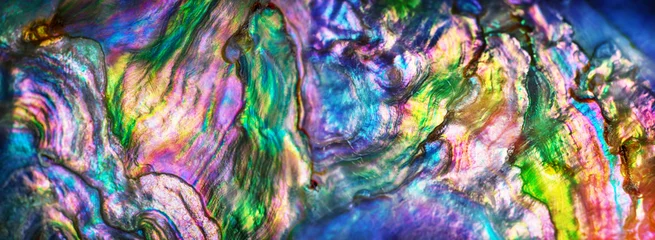 Fotobehang Hoge vergrotingsmacro van de parelshell van de aardtextuur. Regenboog kleuren abstracte achtergrond close-up. © Tryfonov