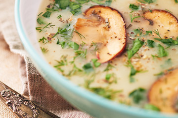 Hot homemade mushroom cream soup with different mushrooms and herbs closeup