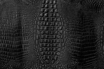 Fotobehang Leather texture © tippapatt