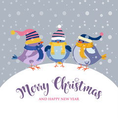 funny Christmas card with birds