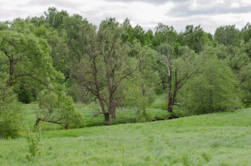 rural landscape