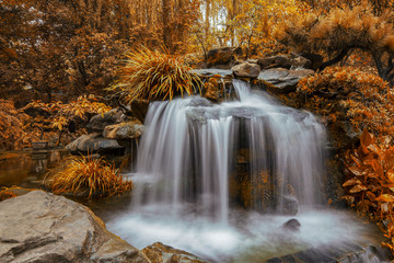 Waterfall in the forest. Autumn in the forest. Waterfall in the rock.