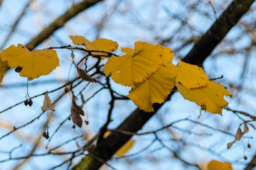 Saint-Miter park in Aix-en-Provence