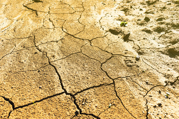 Fototapeta premium Completely dry land soil during hot summer and arid season in the central Europe