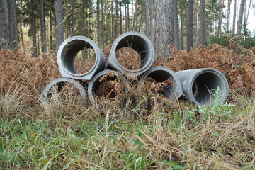 Betonrohre wald röhren bäume herbst