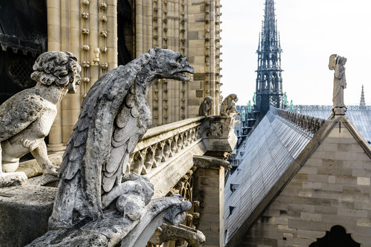 Stone statues of chimeras overlooking the rooftop and spire of Notre-Dame de Paris cathedral from the towers gallery.
